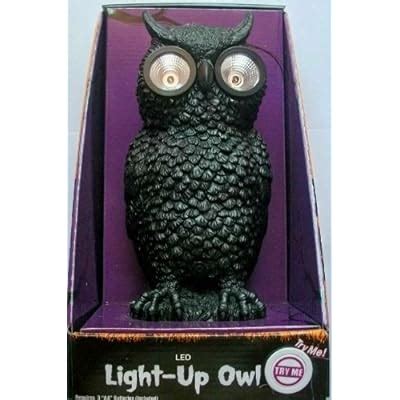 Amazon.com - Halloween LED Motion Activated Light Up Owl w/ Sound ...