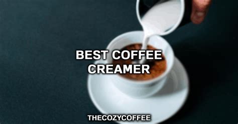 Best Coffee Creamer Top 5 Coffee Creamers You Need To Try