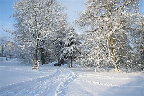 Albury Park snow scene photo - WP22693