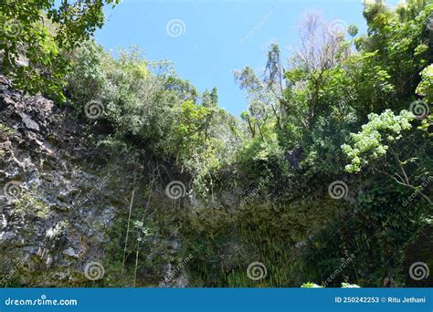 Fern Grotto At Wailua River State Park On Kauai Island In Hawaii Stock