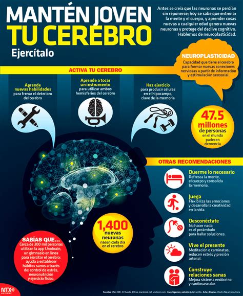 Hoy Tamaulipas Infografía Mantén joven tu cerebro