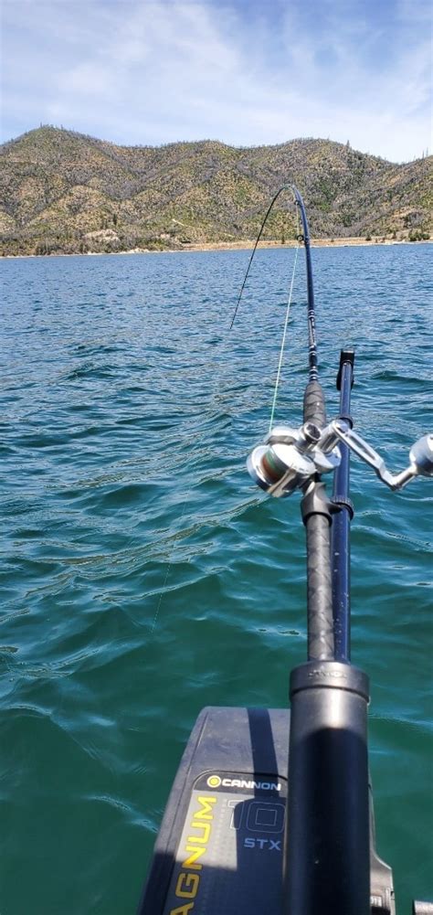 Fishing Whiskeytown Kokanee Action Is Hot