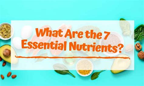 Seven Essential Nutrients To Incorporate In Your Diet