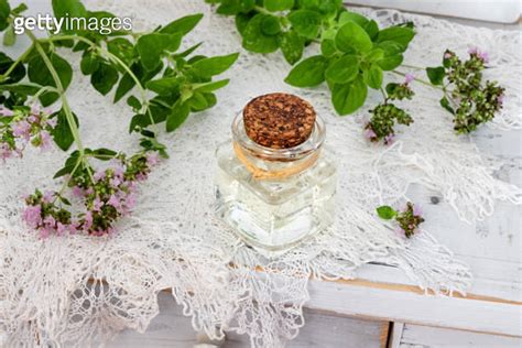 A Bottle Of Essential Oil With Fresh Blooming Oregano