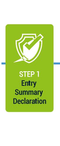 Step 1 Entry Summary Declaration Import Wizard Rxseaport