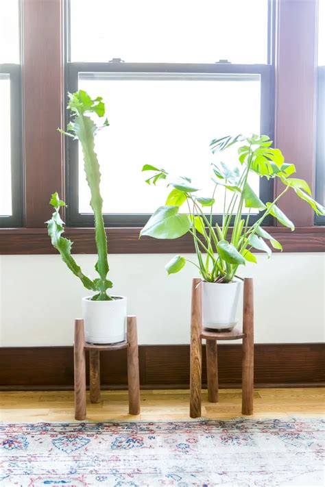 How to Display Houseplants: 65 of Our Favorite Plant-Display Ideas ...