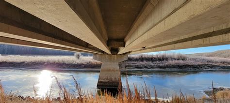 Hanging Out With Bats Under Bridges Blog Nature Pbs