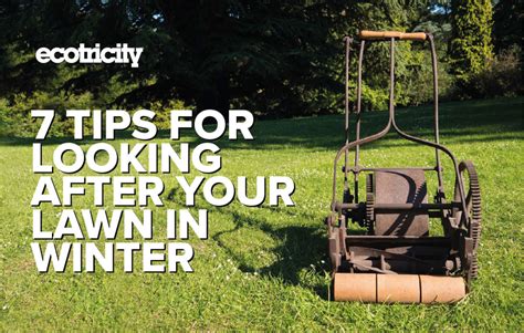 7 Tips For Looking After Your Lawn In Winter Ecotricity Ecotricity