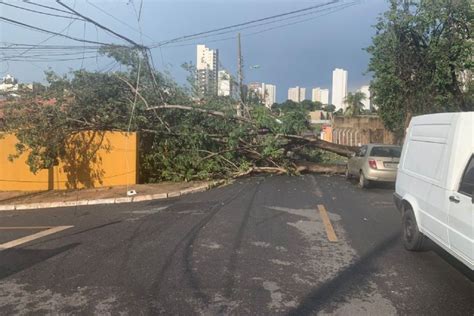 MidiaNews Chuva derruba árvores e causa estragos em Cuiabá veja os