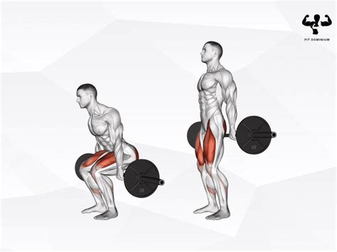 Barbell Hack Squat How To Benefits Fitdominium