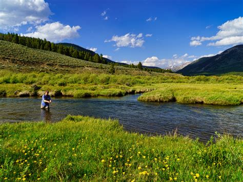 Things To Do In Buena Vista Arkansas River Tours