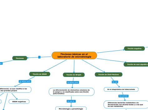 Tinciones B Sicas En El Laboratorio De Mic Mind Map