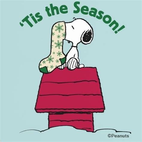 Funny Snoopy Daily On Instagram Lol Follow Us