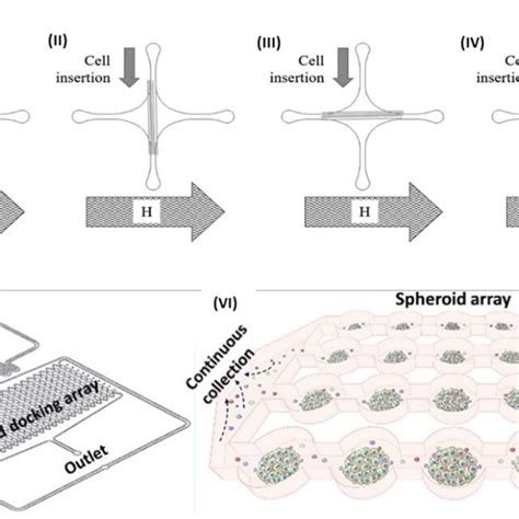 A Schematic Representation Of The Microfluidic Device Developed By Download Scientific