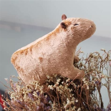 Capybara Peluche réaliste Capybara en peluche guérissez votre humeur