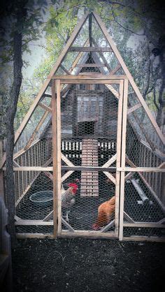 Mistakes I Made In The Chicken Coop And How You Can Avoid Them