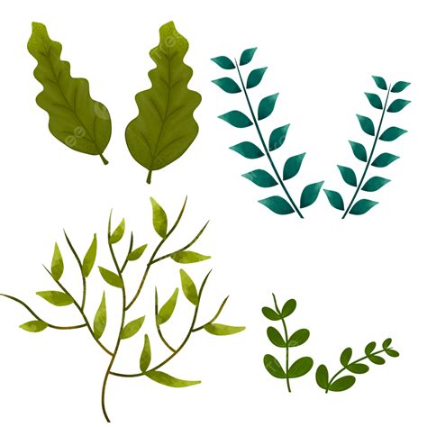 Collection Of Several Types Of Leaves And Aesthetic Plants Aesthetic