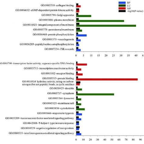 Go Enrichment Analysis For Degs In Bp Cc And Mf Terms The Number On