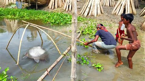 Unique Fish Traping System Amazing Fish Trap Using Bamboo With Net