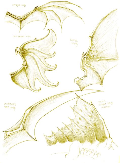 Dragon anatomy- wing study by turel on DeviantArt