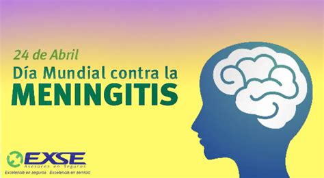 D A Mundial De La Meningitis Exse