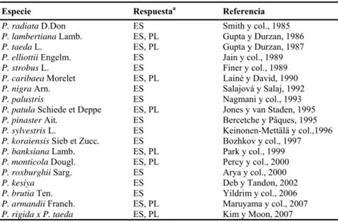 Fases de la embriogénesis somática Embriogénesis somática