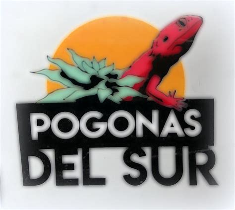 Criador Pogonas Del Sur Tu Web Especializada En Pogonas