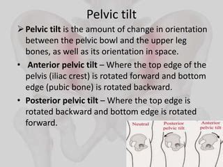 SI JOINT DYSFUNCTION.pptx