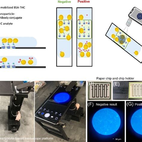 Detection Principle And Assay Platform A Schematics Of The