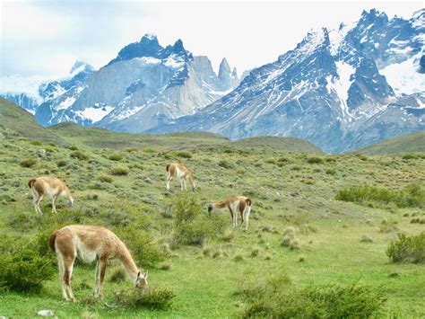 Best places to visit in Chile and what to do there | Velvet Escape