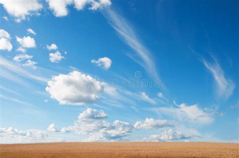 Paisagem Campo E Nuvens De Trigo Foto De Stock Imagem De Nave