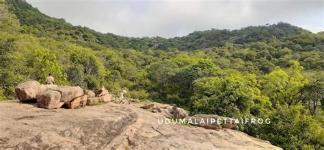 Elumalaiyan Temple Manupatti Udumalai Frog