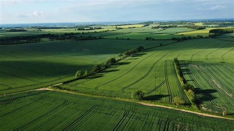 Aerial View Of A Cropland · Free Stock Photo