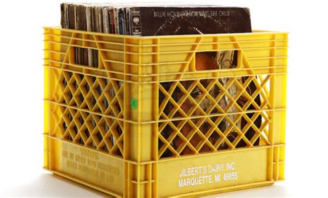 Vinyl Record Storage Milk Crates | Dandk Organizer