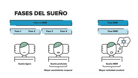 Fases Del Sueño Hospital Clínic Barcelona