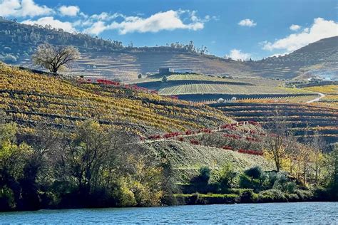 Map Of Douro Valley Wineries All Wine Tours