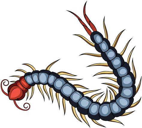 Download Chinese Red Headed Centipede Clipart - Centipede Png Transparent Png (#5357106 ...