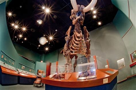 Museum of Florida History Reviews | U.S. News Travel