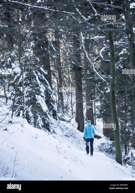 Wandern Durch Den Wald Fotos Und Bildmaterial In Hoher Aufl Sung Alamy