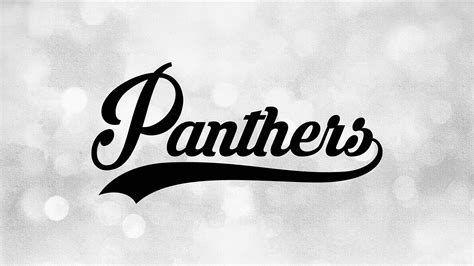 Sports Clipart Panthers Team Name In Fancy Script Etsy Uk