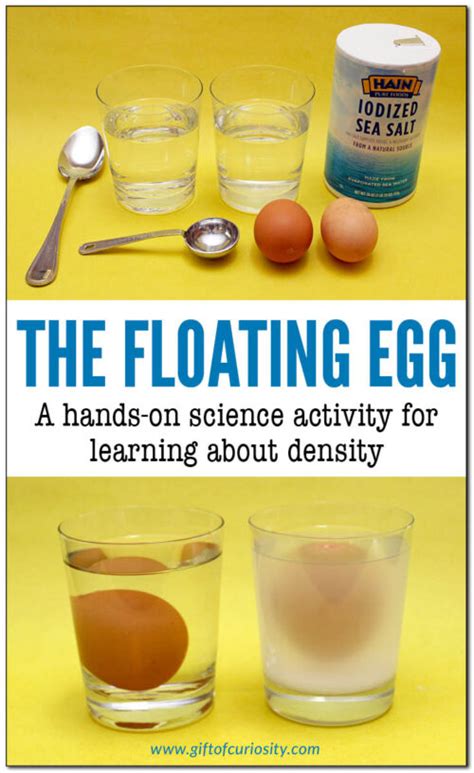 El Huevo Flotante Experimento Práctico De Densidad Hippocrates Guild