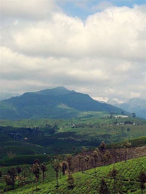 Amazing Hill Stations Near Coimbatore! - People Places