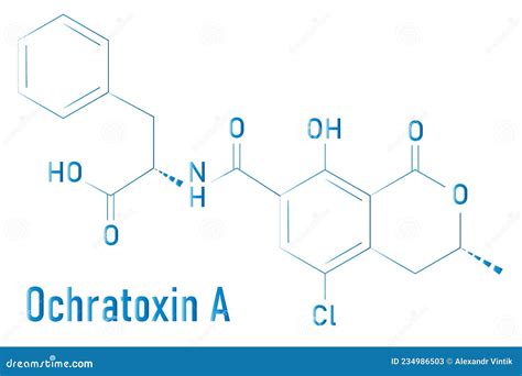 Ochratoxin A Mycotoxin Molecule. Skeletal Formula. Chemical Structure Cartoon Vector ...