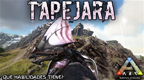 C Mo Tamear Un Tapejara En Ark Youtube