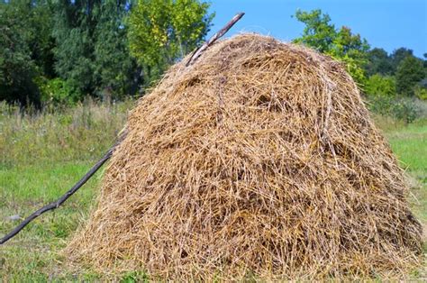 Old European Traditional Hay Stacks Typical Rural Scene In Autu