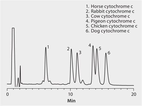 Hplc Analysis Of Cytochrome C Species Variants On Discovery Bio Wide