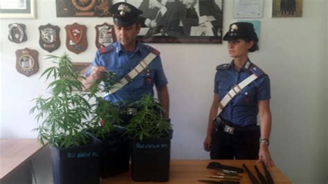 Droga E Armi In Casa Arrestato A Terracina