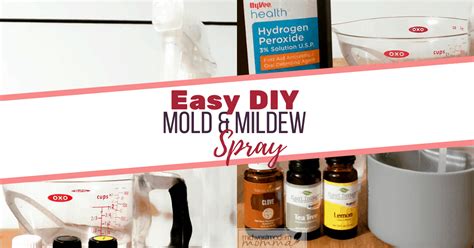 Homemade Mildew Removal Spray {mold Too } Midwest Modern Momma