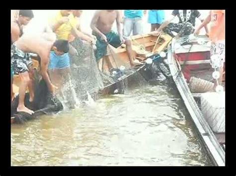 Festival Da Pesca Limoeiro Do Ajuru 2011 YouTube