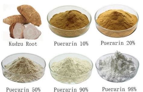 New Product Kudzu Root Extract Puerarin Pueraria Mirifica